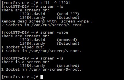 linux screen 命令详解